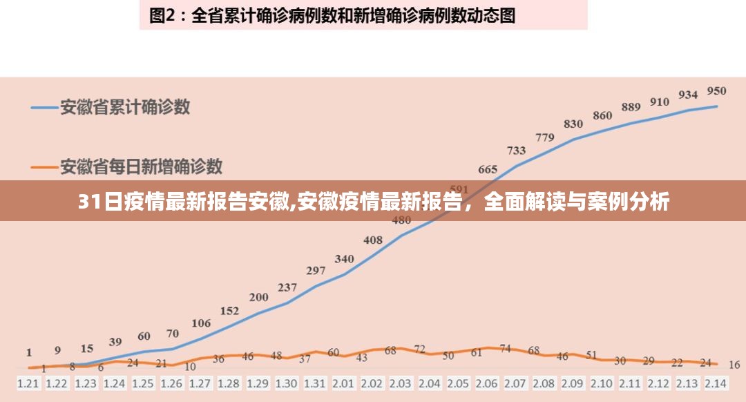 安徽疫情最新报告解读与案例分析，全面洞悉疫情动态