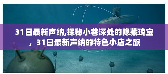 探秘小巷深处的隐藏瑰宝，声纳特色小店之旅