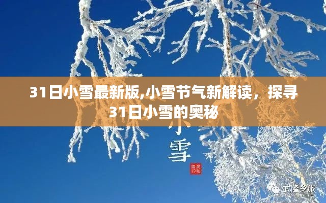 探寻31日小雪节气奥秘，最新解读与小雪节气特点解析