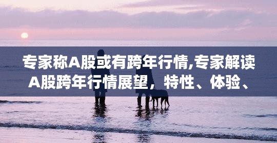 专家解读A股跨年行情展望，特性、体验、竞品分析与目标用户群体深度剖析