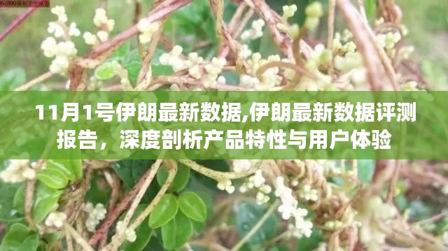 伊朗最新数据深度解析报告，产品特性与用户体验评测