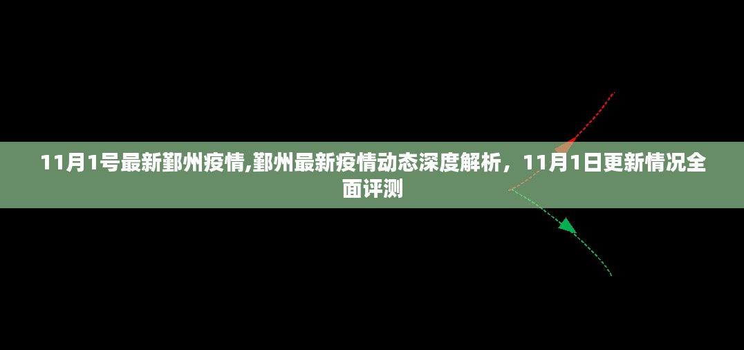 鄞州最新疫情动态深度解析，11月1日更新情况全面评测