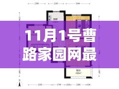 曹路家园网最新版上线解析，利弊与个人观点观察