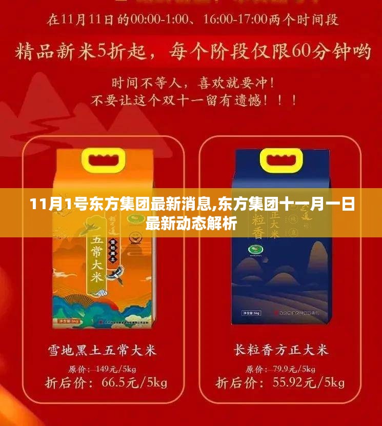 东方集团最新动态解析，11月1日最新消息速递