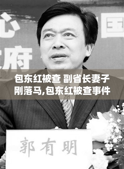 包东红被查事件揭秘，副省长妻子落马背后的真相与事件全貌探究