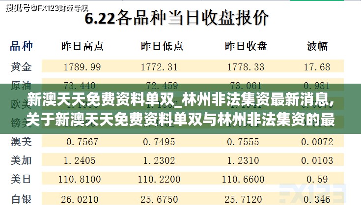 新澳天天免费资料单双与林州非法集资最新动态，深入评测与警示