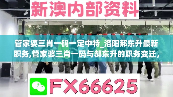 企业动态 第538页