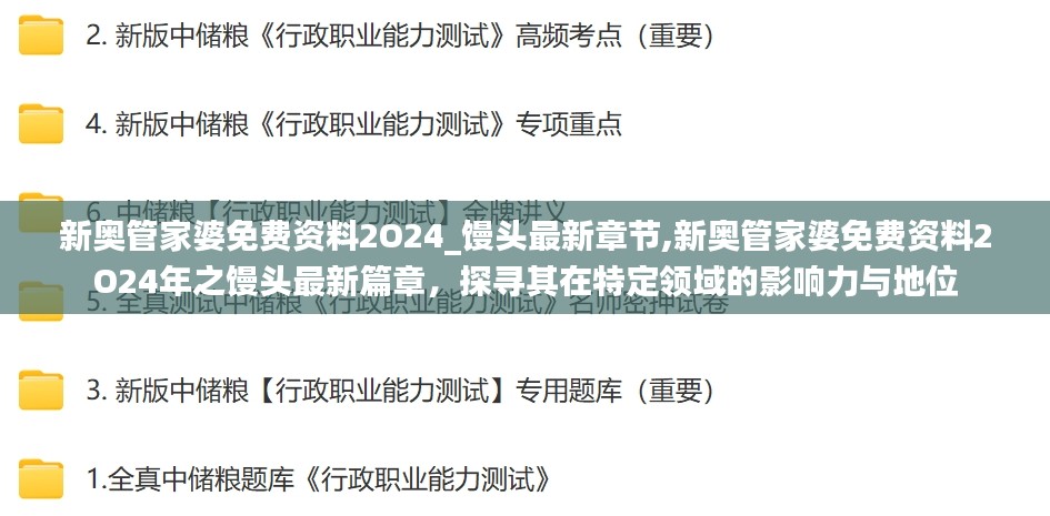 新奥管家婆免费资料2024年，馒头最新章节及其特定领域影响力与地位探索