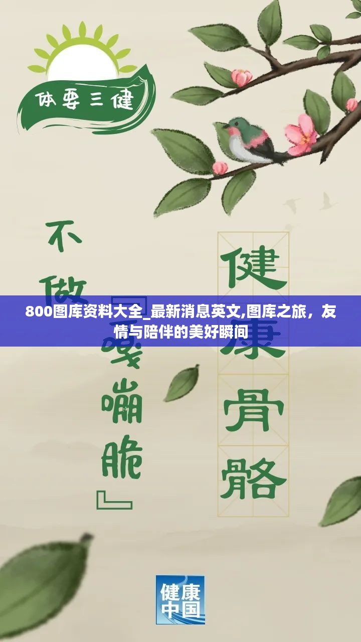 图库之旅，友情与陪伴的美好瞬间及最新消息英文大全_800图库资料集锦