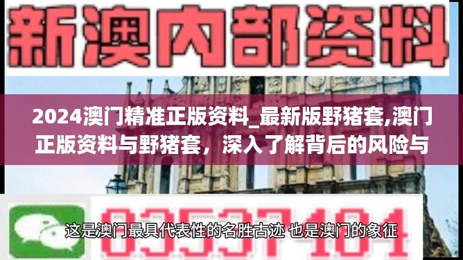 揭秘澳门正版资料与野猪套背后的风险与挑战，警惕违法犯罪行为！