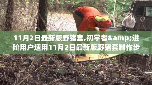 初学者与进阶用户适用的野猪套制作指南，11月最新版制作步骤