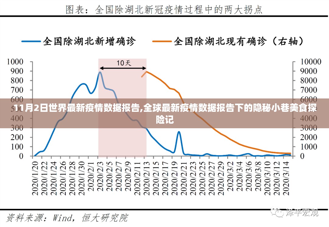 全球最新疫情数据报告下的美食探险记，隐秘小巷美食与疫情动态揭秘