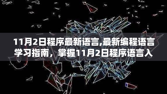 最新编程语言学习指南，掌握编程入门技能，紧跟时代潮流的编程语言学习指南（适用于11月）