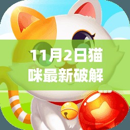 11月2日猫咪最新破解版app全面解析与评测