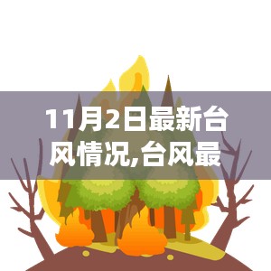 11月2日台风最新动态，气象报告与应对建议