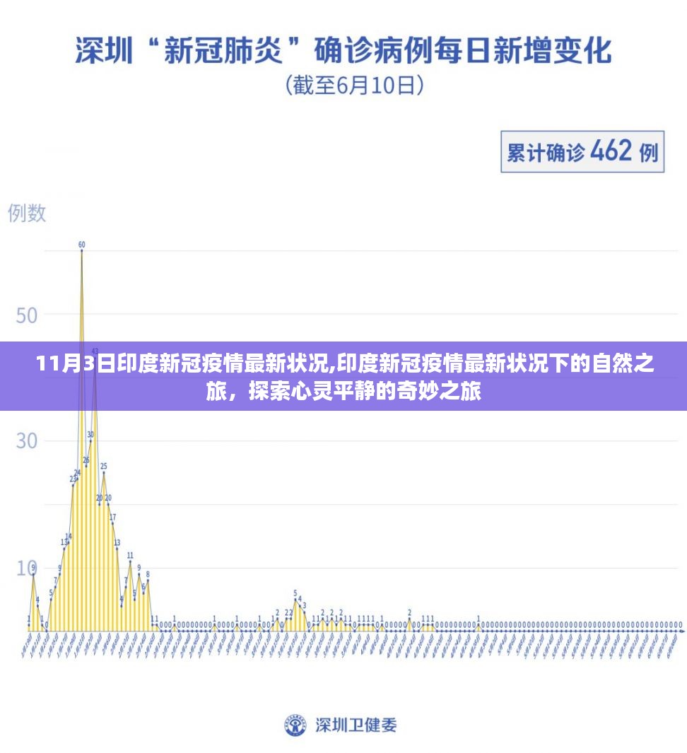 印度新冠疫情最新状况下的心灵探索之旅，自然与平静的魅力探索