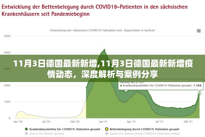 11月3日德国最新疫情动态深度解析与案例分享