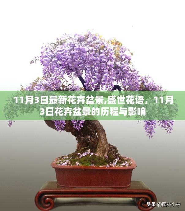 盛世花语，花卉盆景的历程与影响——最新更新，11月3日