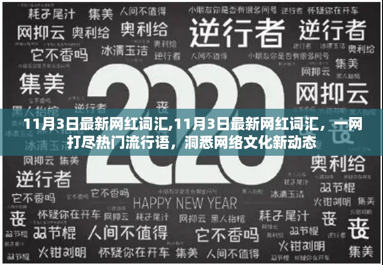 11月3日热门网红词汇一网打尽，洞悉网络文化新动态