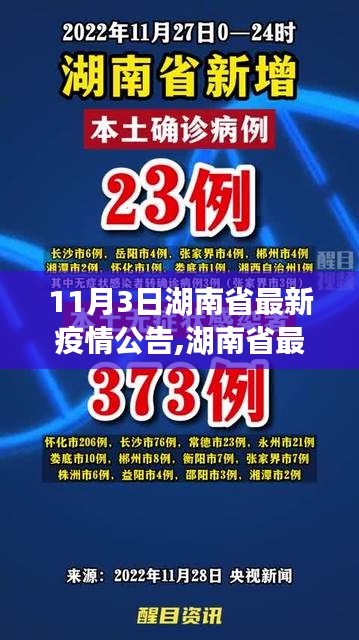 湖南省最新疫情动态更新，共同守护健康防线（11月3日公告）