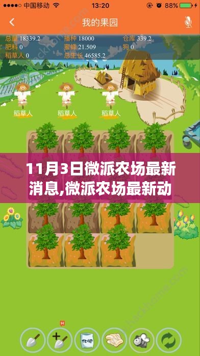 微派农场最新动态解析，聚焦11月3日消息，深度探析某某观点