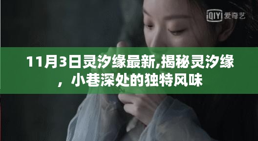 揭秘灵汐缘的独特风味，最新动态与小巷深处的魅力