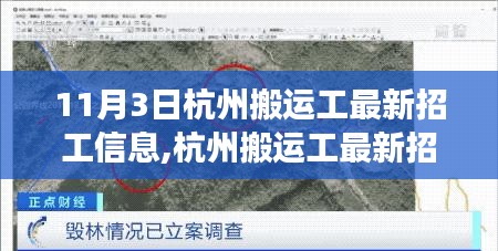 11月3日杭州搬运工最新招工信息及其多维度探讨