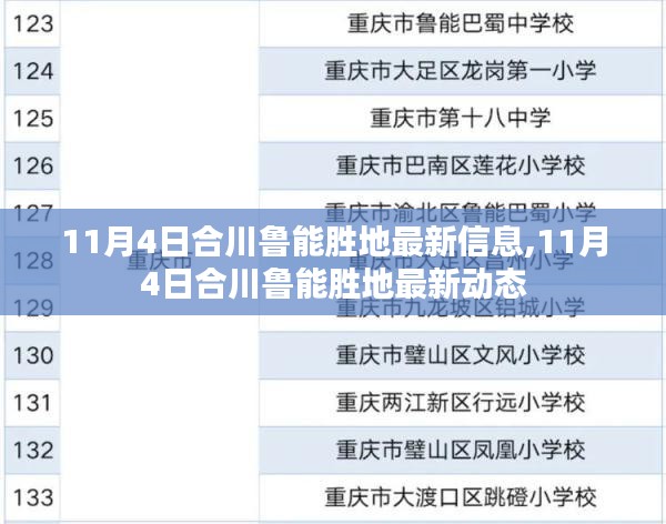 合川鲁能胜地最新动态揭秘，11月4日最新信息速递