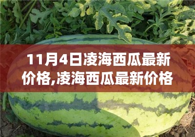 凌海西瓜最新价格动态分析，以市场数据为例（11月4日）