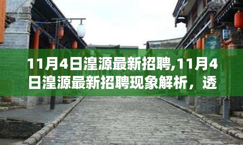 11月4日湟源最新招聘现象深度解析，招聘热潮背后的观点争议与透视