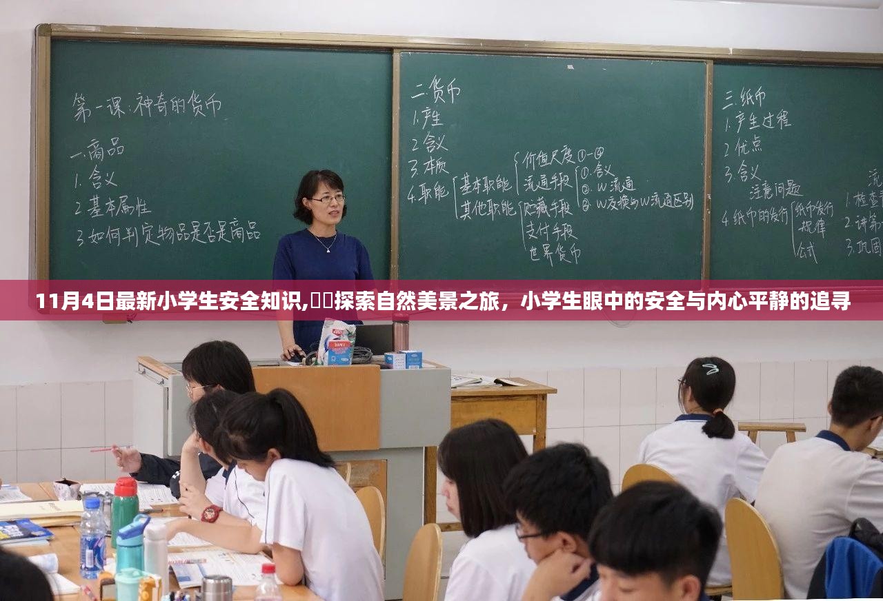 小学生安全知识更新，自然美景之旅中的安全与内心平静的追寻之路