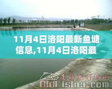 11月4日洛阳最新鱼塘信息全面评测与介绍