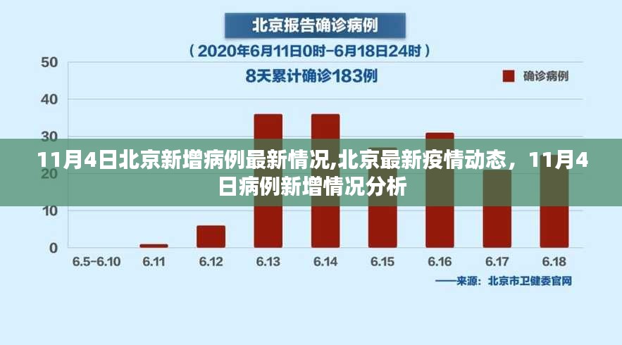 北京疫情最新动态，11月4日新增病例分析与最新疫情数据更新