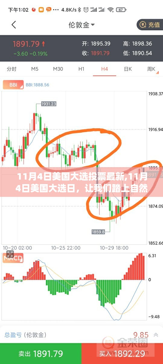 11月4日美国大选投票最新动态，大选日的心灵之旅寻找内心宁静绿洲