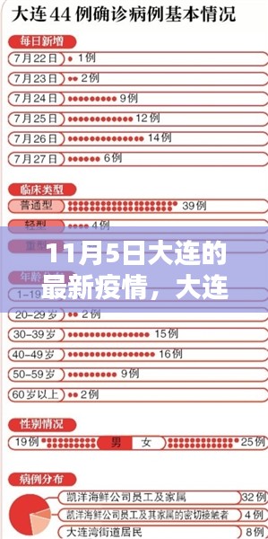 11月5日大连疫情最新动态及应对指南，初学者与进阶用户必备参考