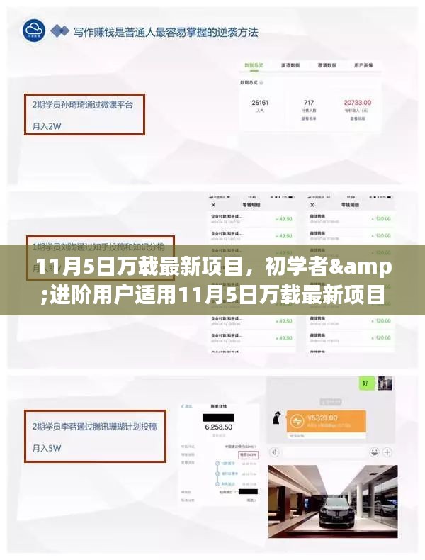 初学者与进阶用户适用的万载最新项目操作指南（11月5日版）
