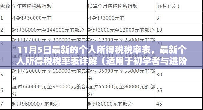 最新个人所得税税率表详解及更新步骤指南（适用于初学者与进阶用户）