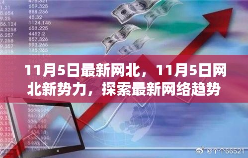 11月5日网北新势力，探索最新网络趋势与机遇