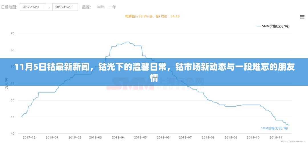 钴光下的温馨日常与难忘友情，最新钴市场动态新闻深度解析