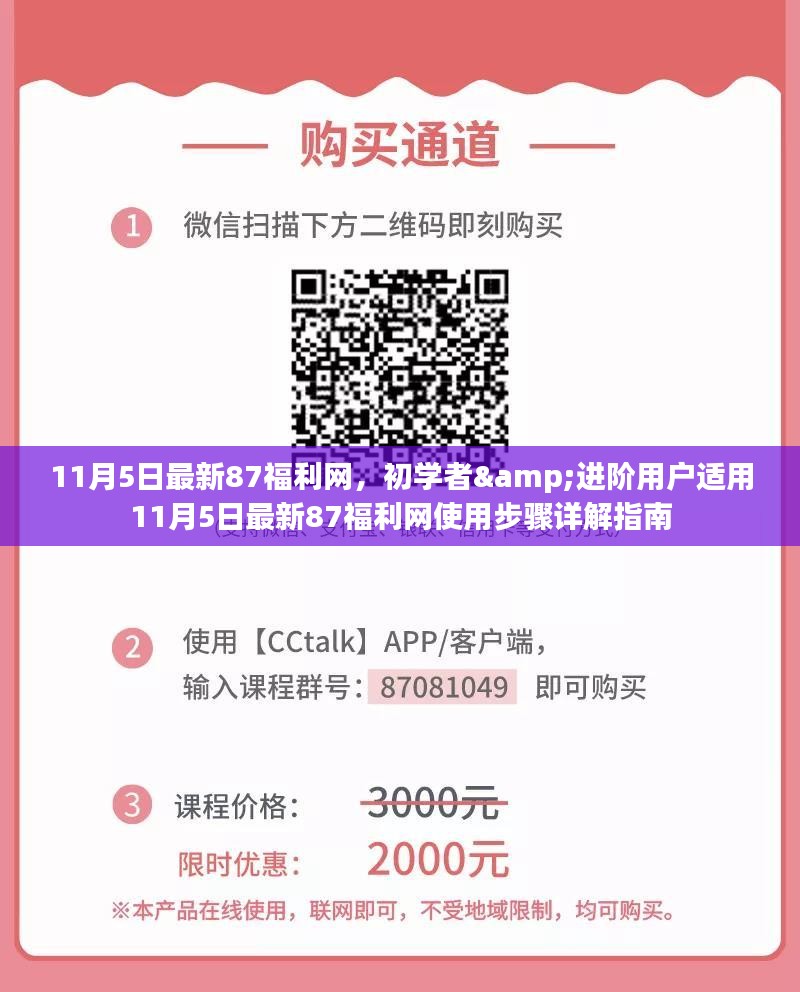 11月5日最新87福利网，初学者&进阶用户适用11月5日最新87福利网使用步骤详解指南