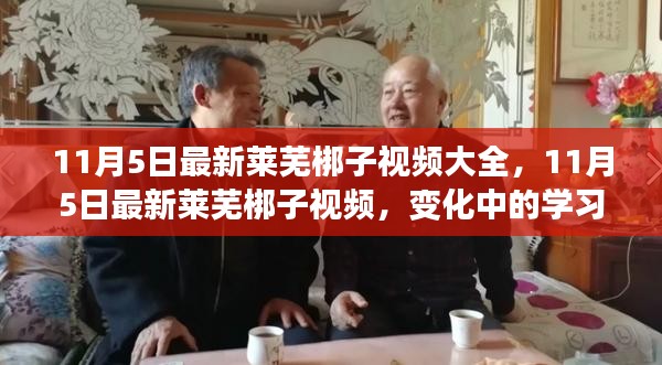 最新莱芜梆子视频，变化中的学习与自信成就之源