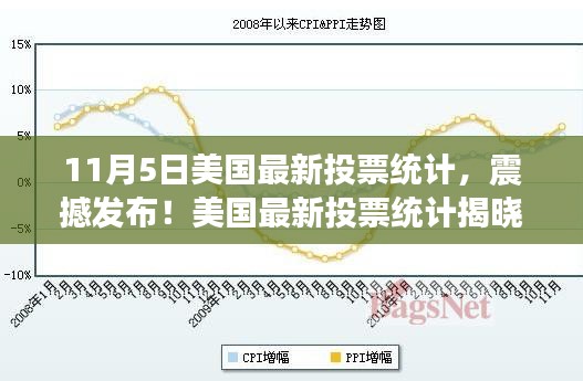 美国最新投票统计结果揭晓，民意引领未来趋势