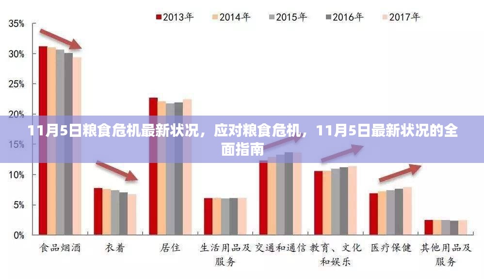 应对粮食危机的全面指南，最新状况与行动策略（11月5日更新）