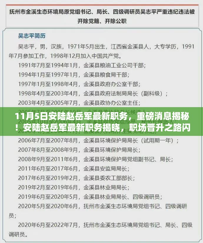 揭秘！安陆赵岳军最新职务揭晓，职场晋升之路闪耀于十一月五日