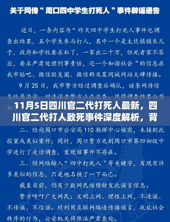 四川官二代打人致死事件，深度解析背景、进展与影响，涉政问题引关注