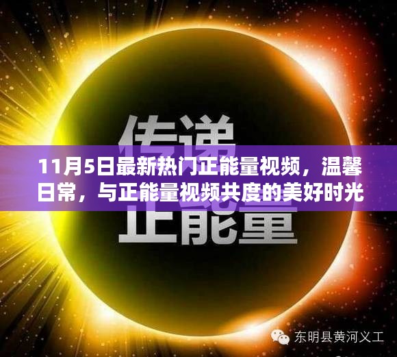 温馨日常正能量视频，美好时光与你共度，11月5日最新热门视频分享