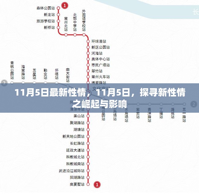 11月5日新性情崛起及其影响力探究