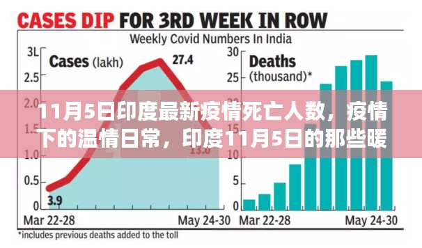 业内新闻 第491页