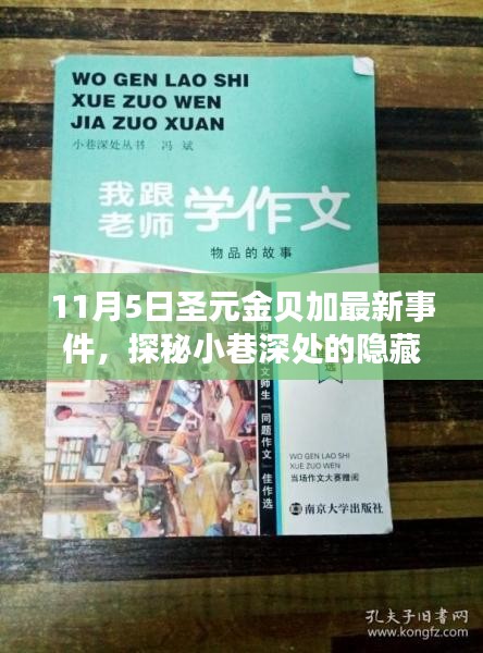 探秘圣元金贝加最新事件，小巷深处的隐藏瑰宝揭秘