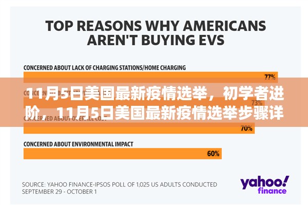 美国最新疫情选举详解与初学者进阶指南（11月5日版）